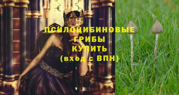 скорость Абаза