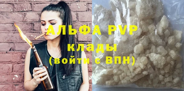 индика Переславль-Залесский