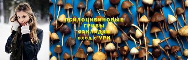 амф Алексеевка
